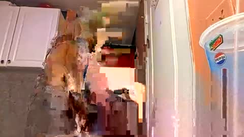 BONER DONOR online show from May 5, 2:18 am