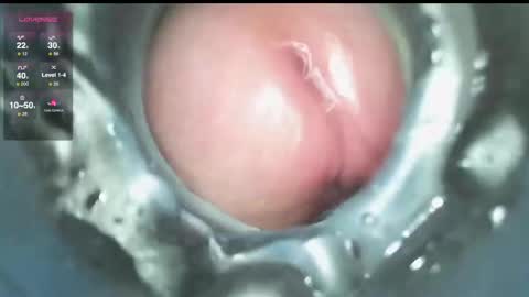 xoxowtf online show from December 9, 3:54 pm