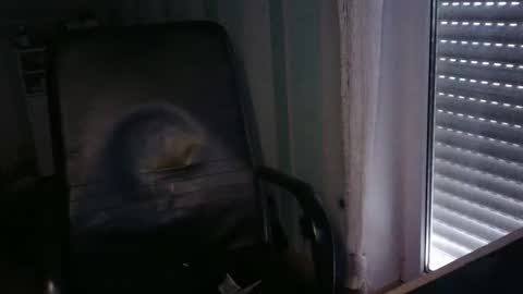 Snapshot of xxm1xxh10 chatting on February 7, 8:01 am xxm1xxh10 online show from February 7, 8:01 am