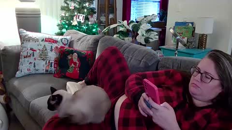 Strawberry Jane online show from December 17, 10:54 pm