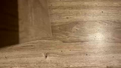 Antonio del Pa ero online show from March 8, 12:33 am