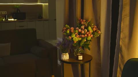 Molly online show from November 29, 2:58 pm