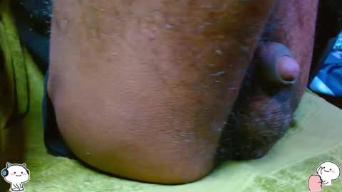 Prince online show from November 21, 4:05 pm