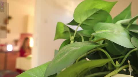 Xxxoka online show from March 6, 2:08 pm