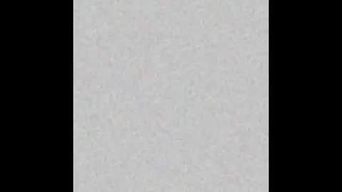 .     y e l l o w s n a k e s       . online show from December 4, 4:06 pm