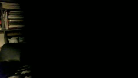 yessex247 online show from April 17, 1:52 am