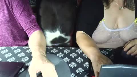 yessirprincesspet online show from September 17, 3:43 am