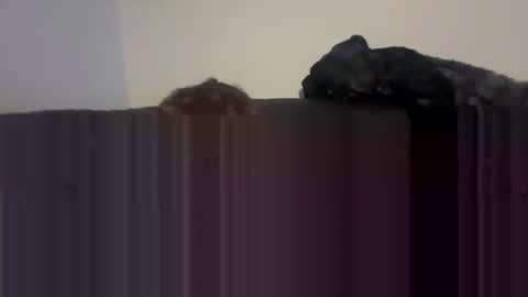 Self fucking fucktoy online show from April 26, 1:58 am