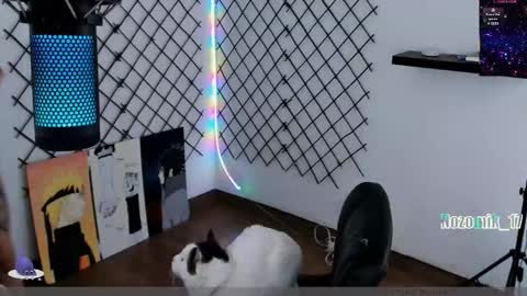 you can call me Andy or  yoshi  3 online show from October 7, 9:55 pm