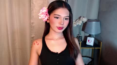 Sunshine online show from November 5, 10:50 am