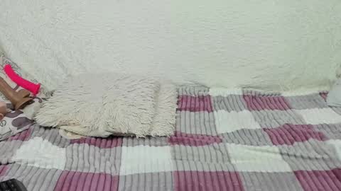 yourkriss_new1 online show from October 11, 8:45 pm