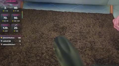 yuliethpetite online show from February 3, 11:14 am