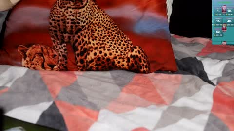 ShyMan online show from January 8, 10:15 am