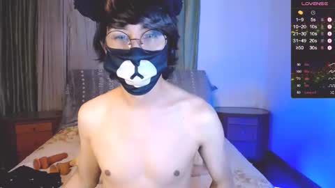 the puppy boy online show from December 8, 3:40 am