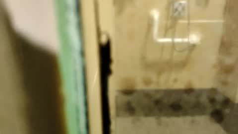 ZUL online show from February 9, 1:53 am