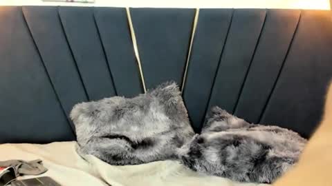 zeusapollofuck online show from September 19, 11:30 pm