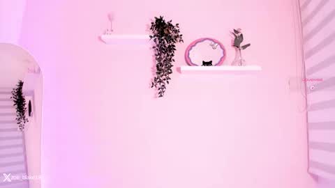 Zoe online show from September 30, 12:43 am