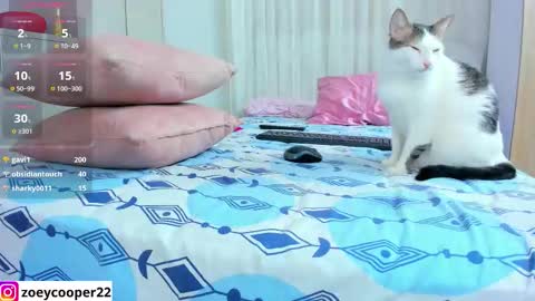 zoey  Independent model online show from March 11, 4:04 am